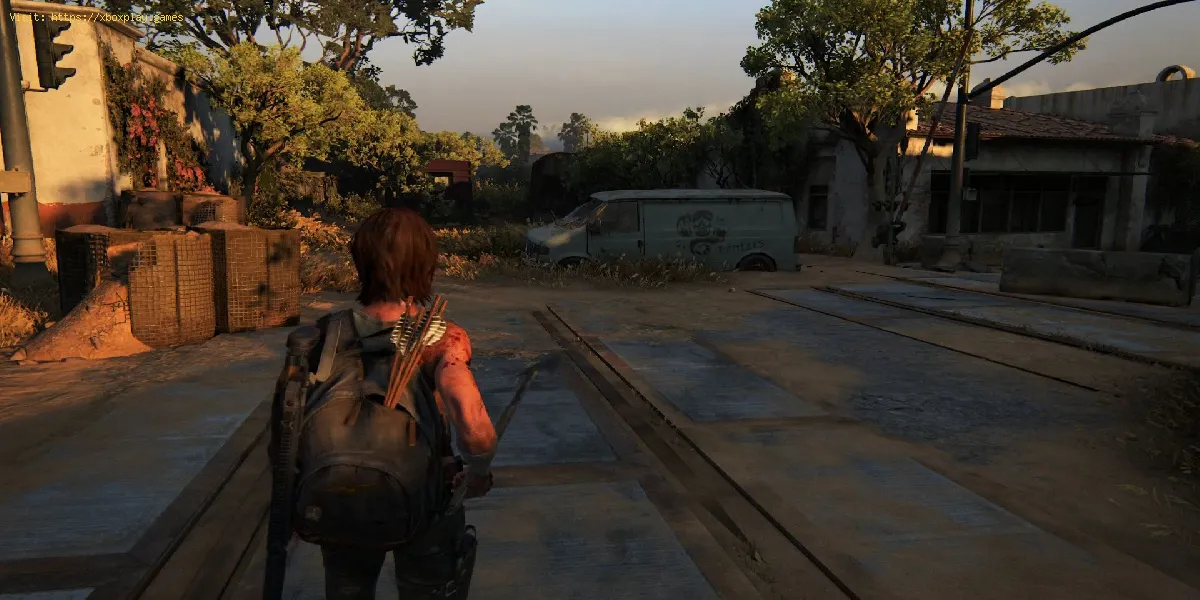 The Last of Us Part 2: dove trovare tutti gli oggetti da collezione del Resort