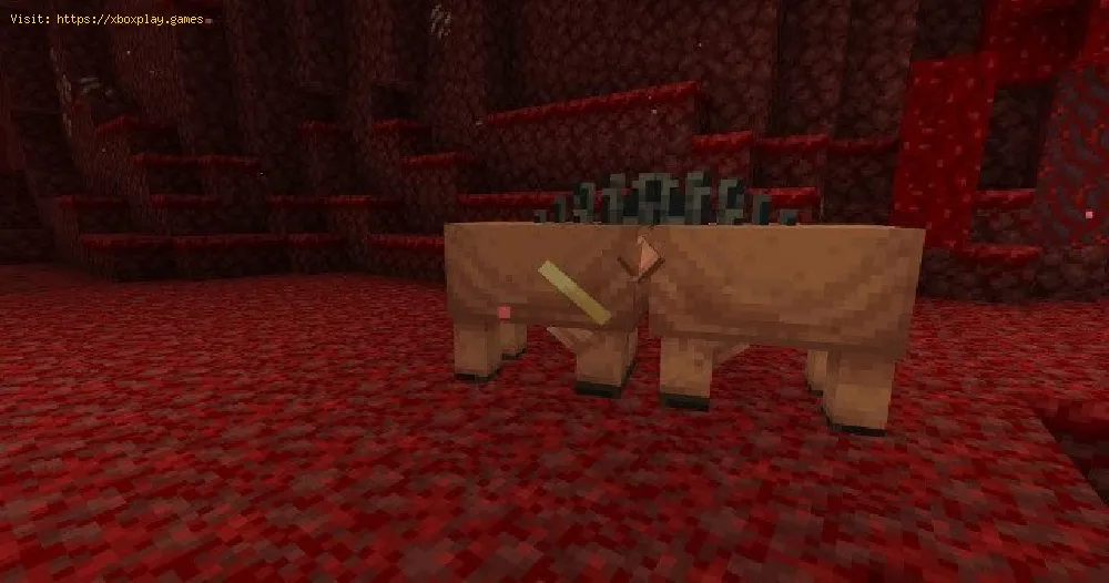 Minecraft Nether: How to Tame a Hoglin