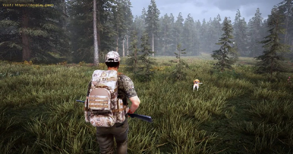 Hunting Simulator 2: How to carry weapons