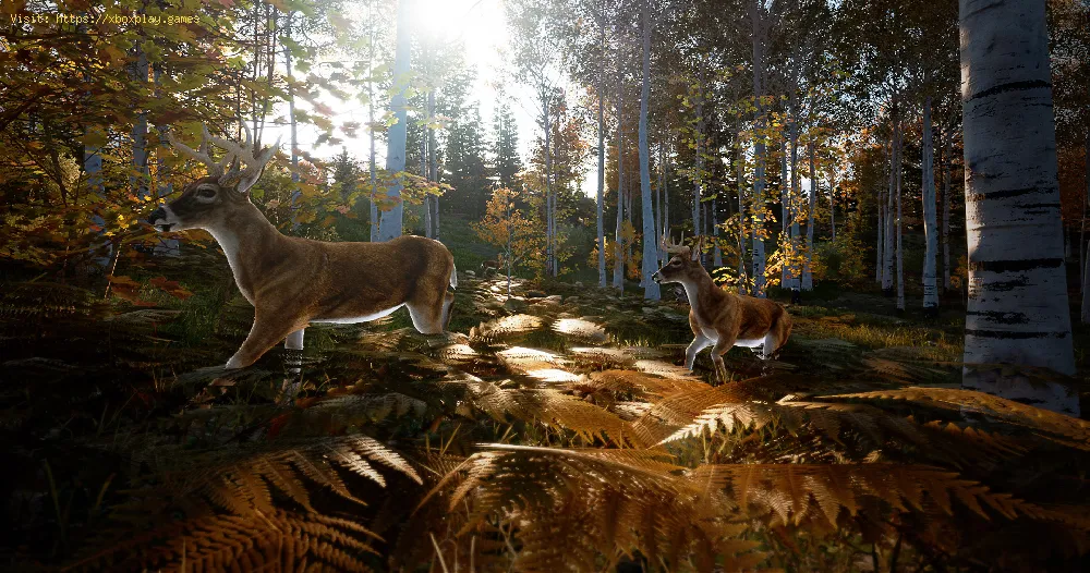 Hunting Simulator 2: How to find animals
