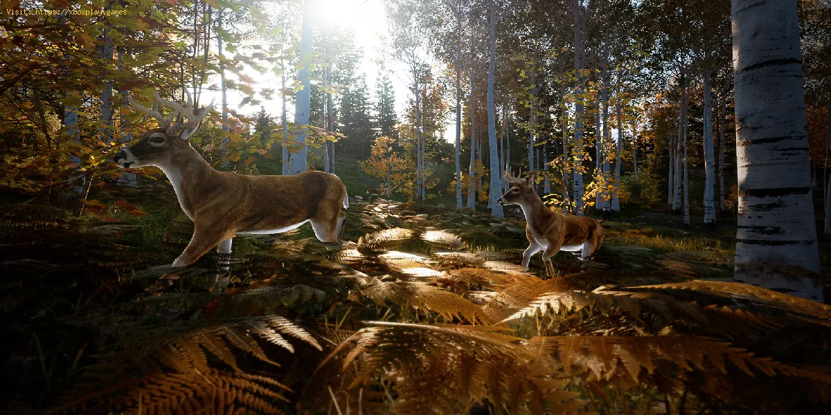 Hunting Simulator 2: Comment trouver des animaux