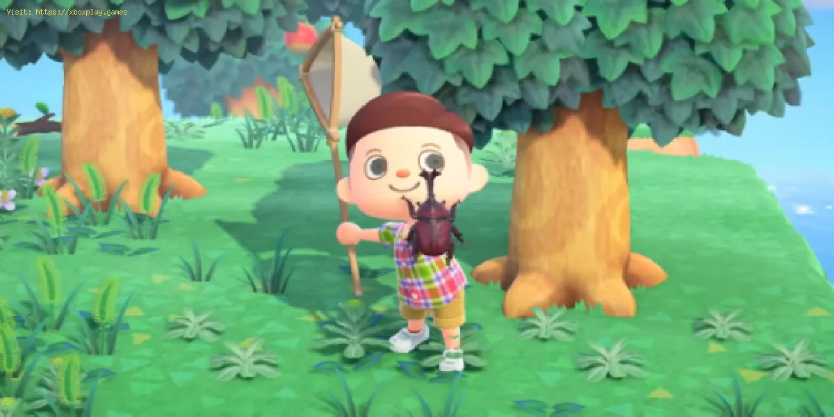 Animal Crossing New Horizons: Wie man einen Käfer fängt