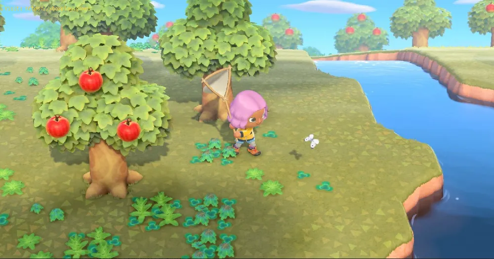 Animal Crossing New Horizons：ウォーキングリーフをキャッチする方法