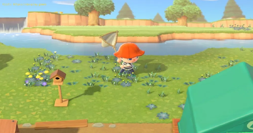 Animal Crossing New Horizons：蝉の殻を捕まえる方法