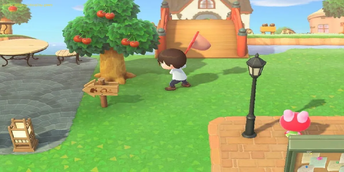 Animal Crossing New Horizons: Cómo atrapar una cigarra robusta