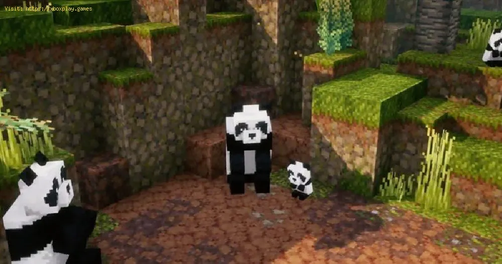 Minecraft Dungeons Jungle Awakens: How to Unlock the Panda Plateau Secret Level