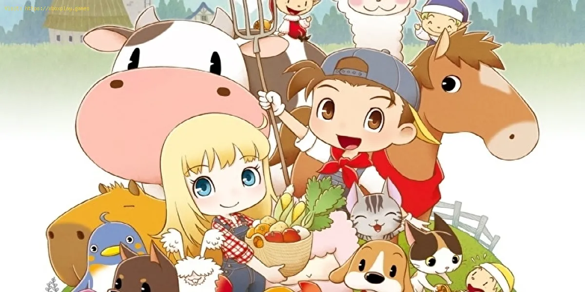 Story of Seasons Friends of Mineral Town: comment mettre à jour les outils