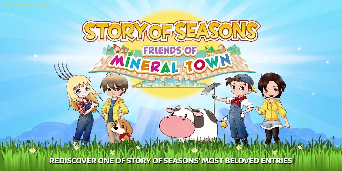 Story of Seasons Friends of Mineral Town: onde encontrar utensílios de cozinha