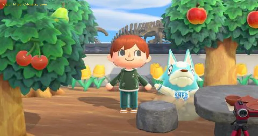 Animal Crossing New Horizons: How To Get A Border in the stone paths