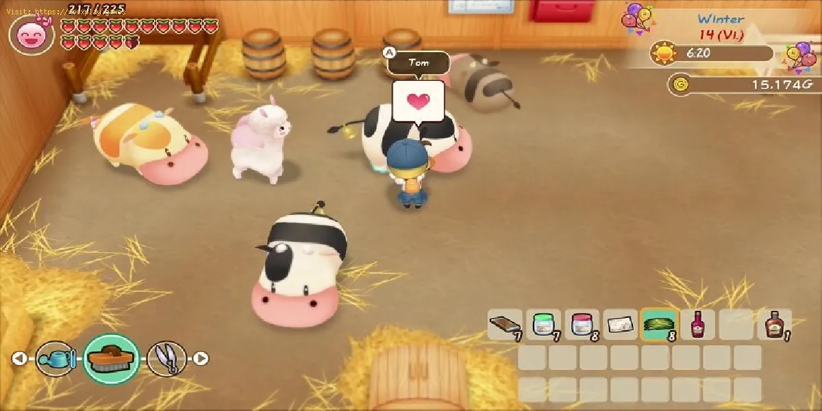 Story of Seasons Friends of Mineral Town: come ottenere più polli