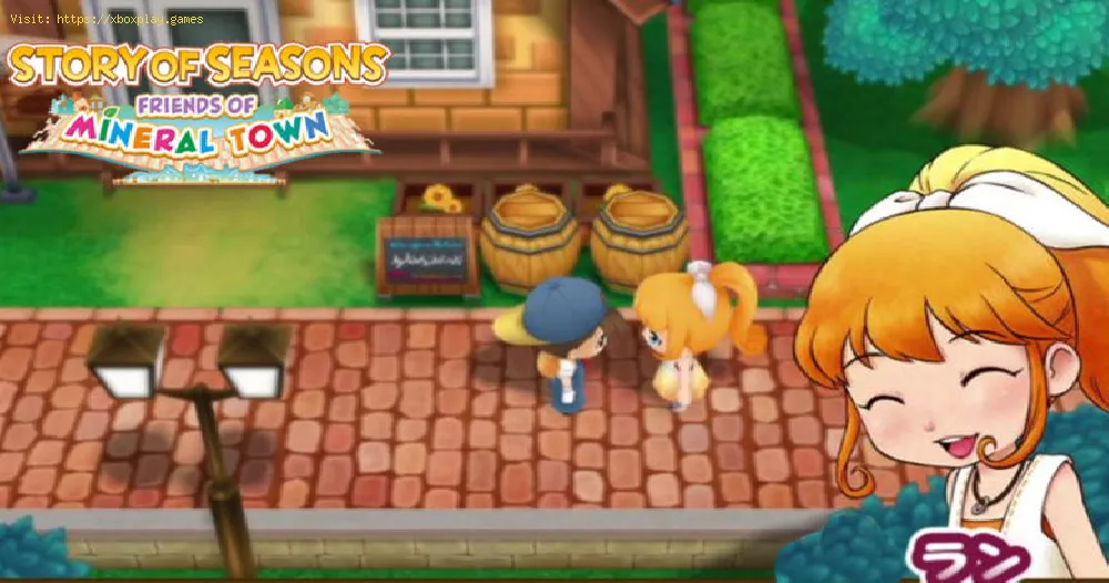 Story of Seasons Friends of Mineral Town: How to get a Diamond