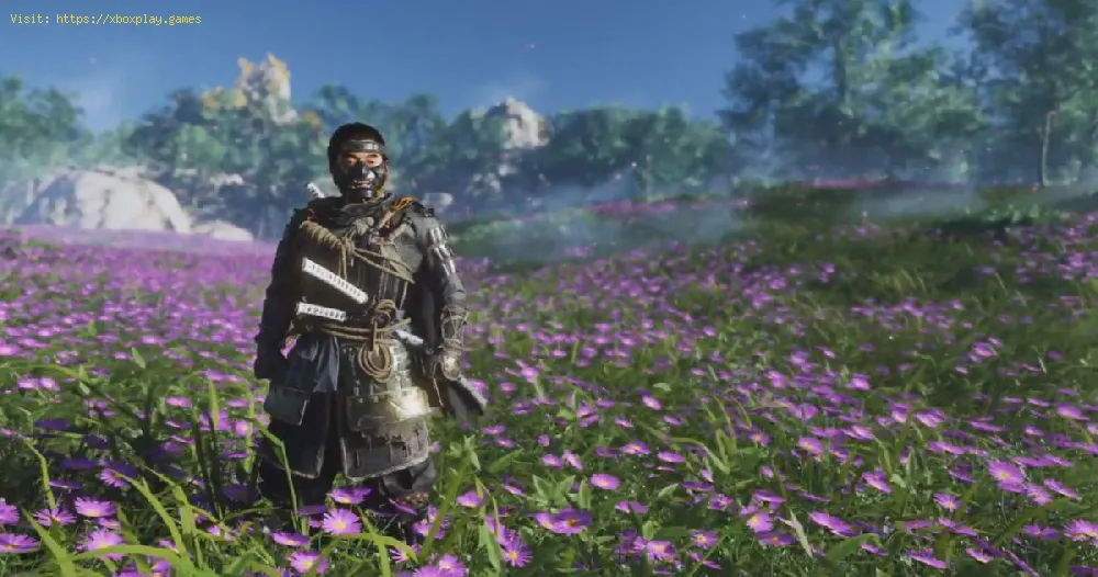 Ghost of Tsushima: How to find wood wax