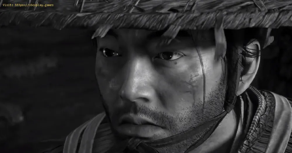 Ghost of Tsushima: How to activate  Black and White Mode