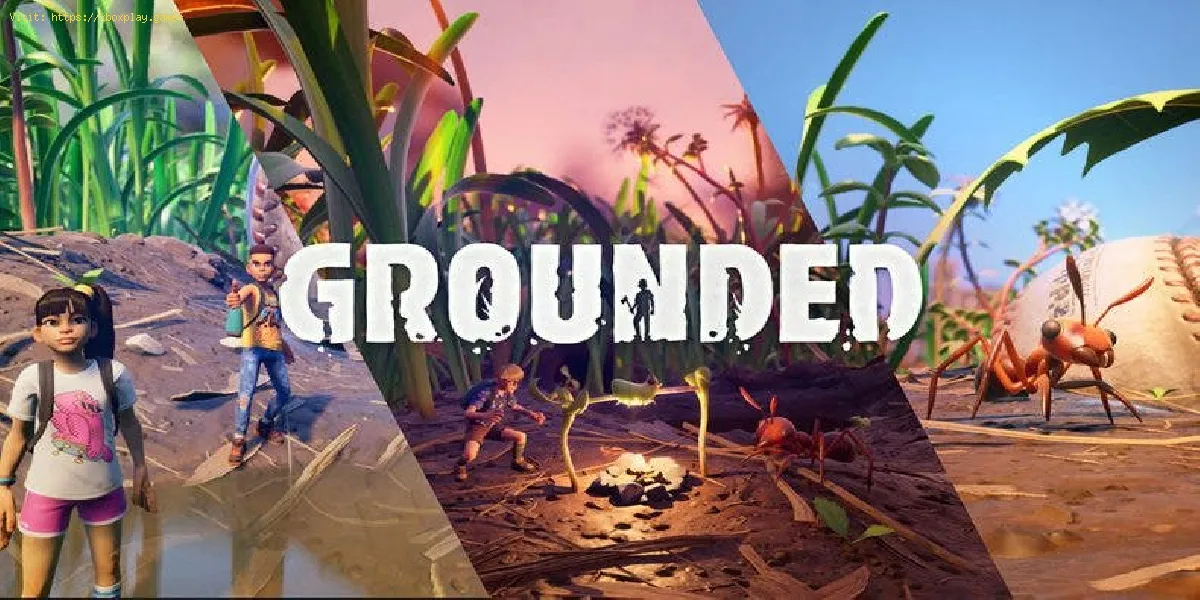 Grounded: como obter o grub hide