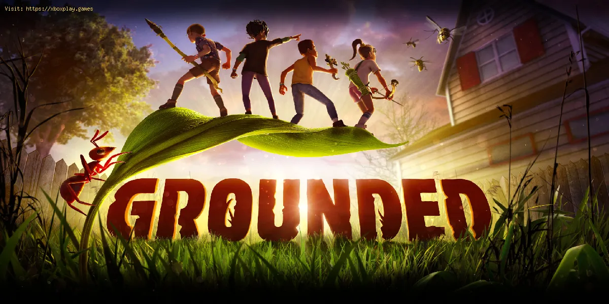 Grounded: come uccidere uno scarabeo bombardiere