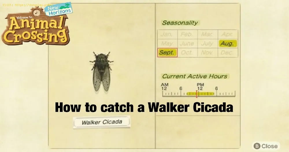 Animal Crossing New Horizons: How to Catch Walker Cicada