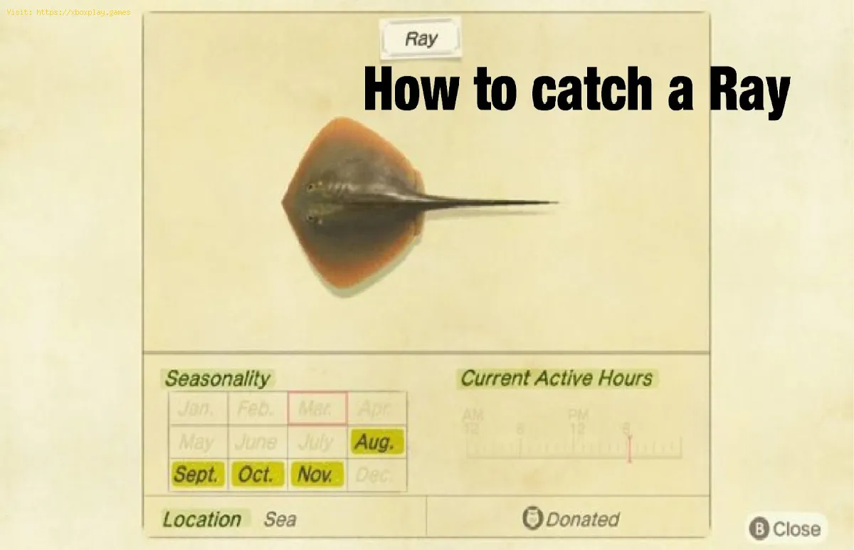 Animal Crossing New Horizons: How to Catch Ray