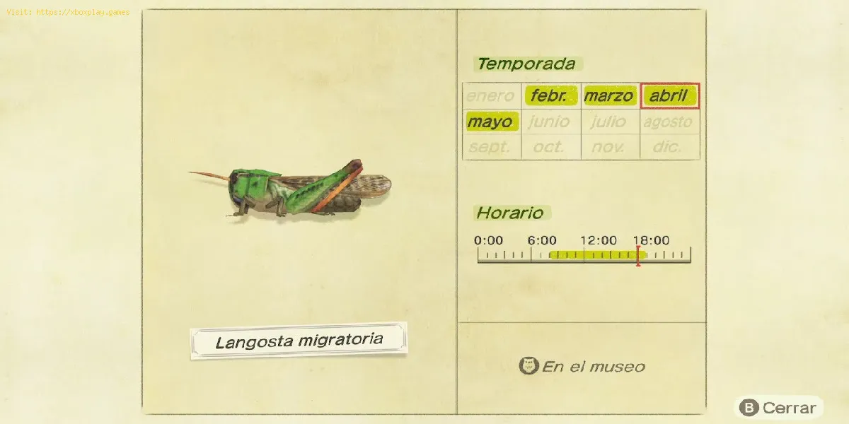 Animal Crossing New Horizons:  How to Catch Migratory Locust