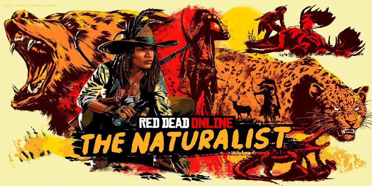 Red Dead Online: onde encontrar o lendário winison Bison